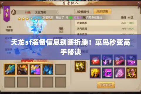 天龙sf装备信息别瞎折腾!菜鸟秒变高手秘诀 天龙sf装备信息别瞎折腾!菜鸟秒变高手秘诀