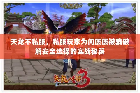 天龙不私服，私服玩家为何屡屡被骗破解安全选择的实战秘籍