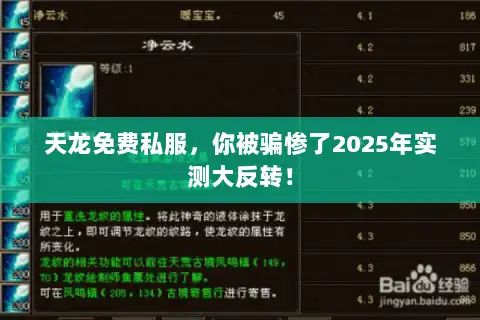 天龙免费私服，你被骗惨了2025年实测大反转！