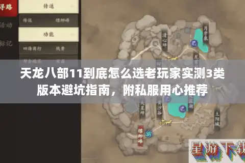 天龙八部11到底怎么选老玩家实测3类版本避坑指南，附私服用心推荐