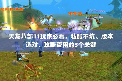 天龙八部11玩家必看，私服不坑、版本选对、攻略管用的3个关键
