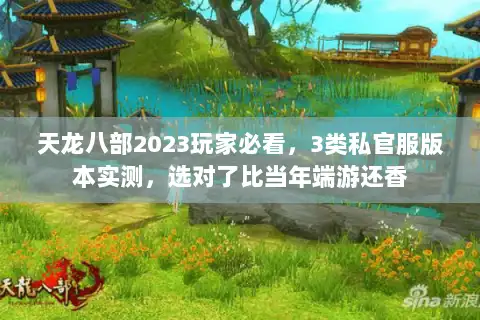 天龙八部2023玩家必看，3类私官服版本实测，选对了比当年端游还香