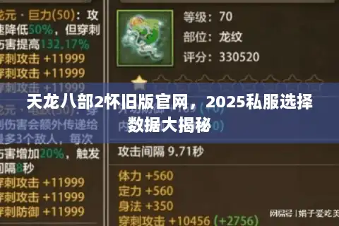 天龙八部2怀旧版官网，2025私服选择数据大揭秘