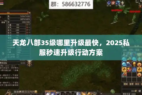 天龙八部35级哪里升级最快，2025私服秒速升级行动方案