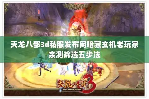 天龙八部3d私服发布网暗藏玄机老玩家亲测筛选五步法
