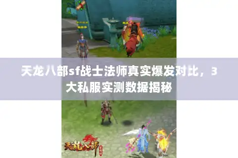 天龙八部sf战士法师真实爆发对比，3大私服实测数据揭秘