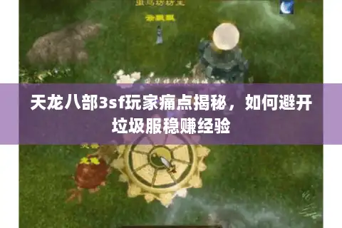 天龙八部3sf玩家痛点揭秘，如何避开垃圾服稳赚经验