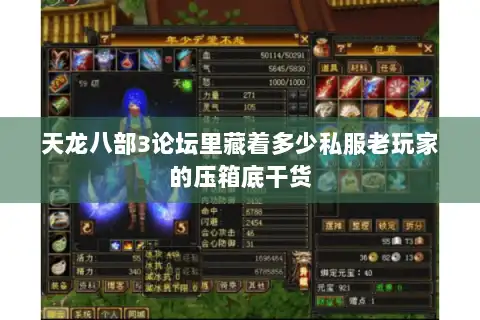 天龙八部3论坛里藏着多少私服老玩家的压箱底干货