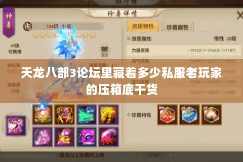 天龙八部3论坛里藏着多少私服老玩家的压箱底干货