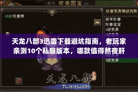 天龙八部3迅雷下载避坑指南，老玩家亲测10个私服版本，哪款值得熬夜肝