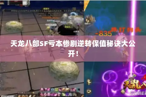 天龙八部SF亏本惨剧逆转保值秘诀大公开！