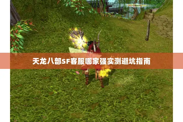 天龙八部SF客服哪家强实测避坑指南