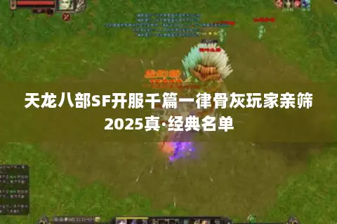 天龙八部SF开服千篇一律骨灰玩家亲筛2025真·经典名单 天龙八部SF开服千篇一律骨灰玩家亲筛2025真·经典名单