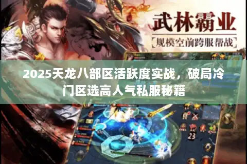 2025天龙八部区活跃度实战，破局冷门区选高人气私服秘籍