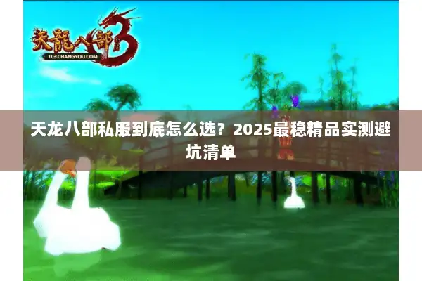 天龙八部私服到底怎么选?2025最稳精品实测避坑清单 天龙八部私服到底怎么选?2025最稳精品实测避坑清单