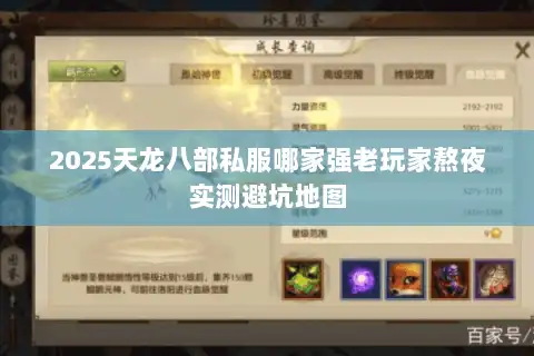 2025天龙八部私服哪家强老玩家熬夜实测避坑地图