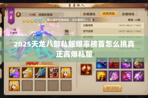 2025天龙八部私服爆率榜首怎么挑真正高爆私服