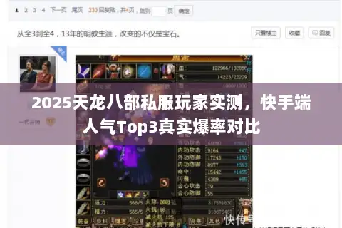 2025天龙八部私服玩家实测，快手端人气Top3真实爆率对比
