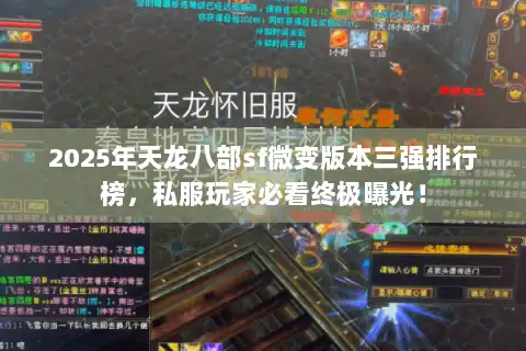 2025年天龙八部sf微变版本三强排行榜，私服玩家必看终极曝光！