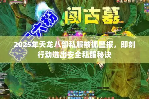 2025年天龙八部私服被抓警报，即刻行动选出安全私服秘诀