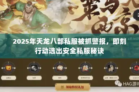 2025年天龙八部私服被抓警报，即刻行动选出安全私服秘诀