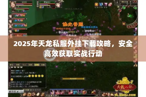 2025年天龙私服外挂下载攻略，安全高效获取实战行动