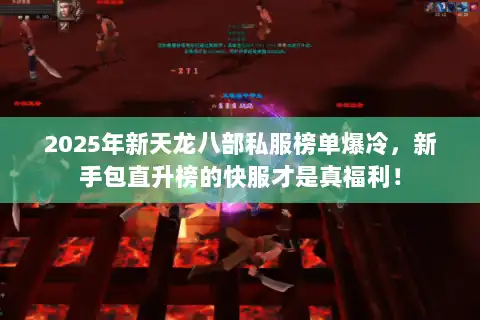 2025年新天龙八部私服榜单爆冷，新手包直升榜的快服才是真福利！