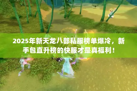 2025年新天龙八部私服榜单爆冷，新手包直升榜的快服才是真福利！