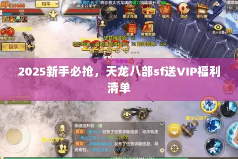 2025新手必抢，天龙八部sf送VIP福利清单