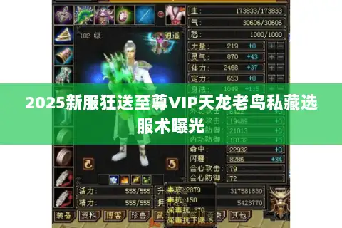 2025新服狂送至尊VIP天龙老鸟私藏选服术曝光 2025新服狂送至尊VIP天龙老鸟私藏选服术曝光