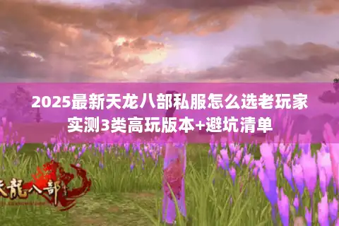 2025最新天龙八部私服怎么选老玩家实测3类高玩版本+避坑清单 2025最新天龙八部私服怎么选老玩家实测3类高玩版本+避坑清单