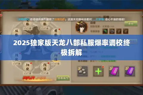 2025独家版天龙八部私服爆率调校终极拆解 2025独家版天龙八部私服爆率调校终极拆解