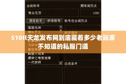 510tl天龙发布网到底藏着多少老玩家不知道的私服门道