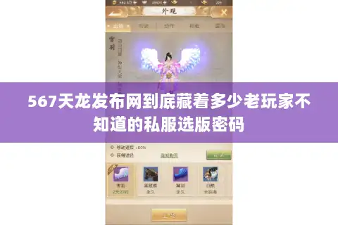 567天龙发布网到底藏着多少老玩家不知道的私服选版密码