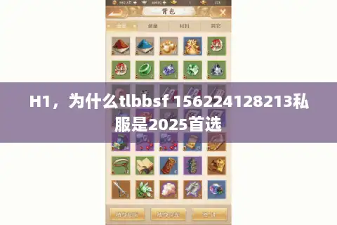 H1，为什么tlbbsf 156224128213私服是2025首选
