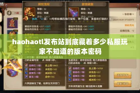 haohaotl发布站到底藏着多少私服玩家不知道的版本密码
