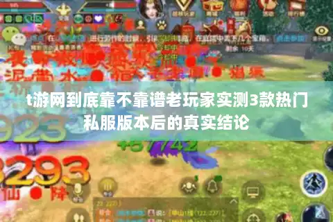 t游网到底靠不靠谱老玩家实测3款热门私服版本后的真实结论