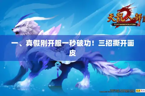 一、真假刚开服一秒破功！三招撕开画皮