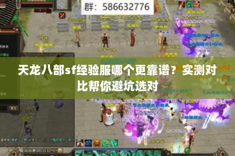 天龙八部sf经验服哪个更靠谱？实测对比帮你避坑选对