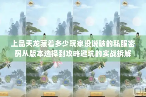 上品天龙藏着多少玩家没说破的私服密码从版本选择到攻略避坑的实战拆解