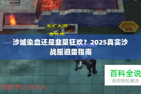 沙城染血还是韭菜狂欢？2025真实沙战服避雷指南
