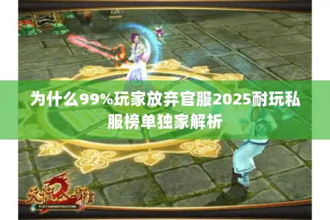 为什么99%玩家放弃官服2025耐玩私服榜单独家解析 为什么99%玩家放弃官服2025耐玩私服榜单独家解析
