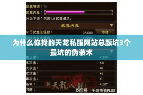 为什么你找的天龙私服网站总踩坑3个最坑的伪装术