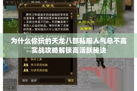 为什么你玩的天龙八部私服人气总不高实战攻略解锁高活跃秘诀