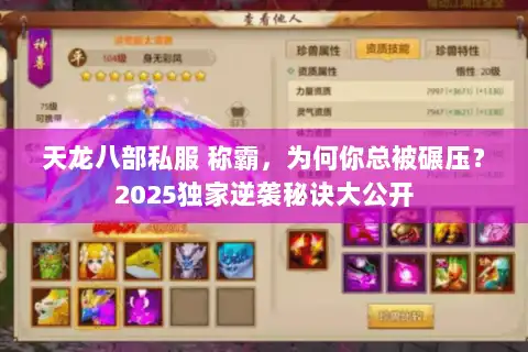 天龙八部私服 称霸，为何你总被碾压？2025独家逆袭秘诀大公开