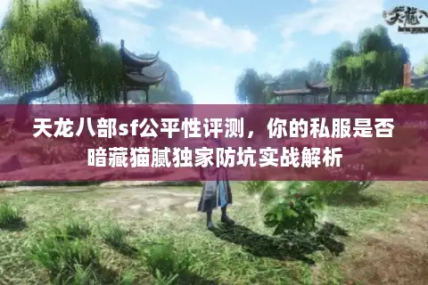 天龙八部sf公平性评测，你的私服是否暗藏猫腻独家防坑实战解析