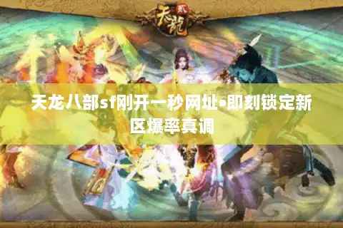 天龙八部sf刚开一秒网址•即刻锁定新区爆率真调