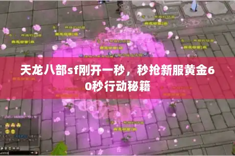天龙八部sf刚开一秒,秒抢新服黄金60秒行动秘籍 天龙八部sf刚开一秒,秒抢新服黄金60秒行动秘籍