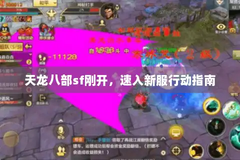 天龙八部sf刚开，速入新服行动指南