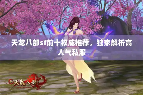 天龙八部sf前十权威推荐,独家解析高人气私服 天龙八部sf前十权威推荐,独家解析高人气私服